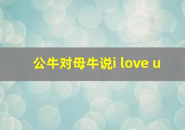 公牛对母牛说i love u